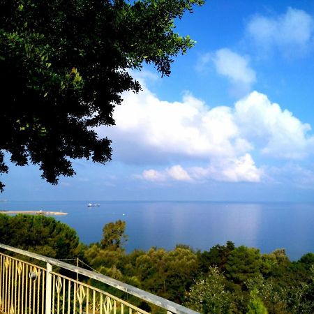 Villa Desideria A Pizzo Pizzo  Eksteriør bilde